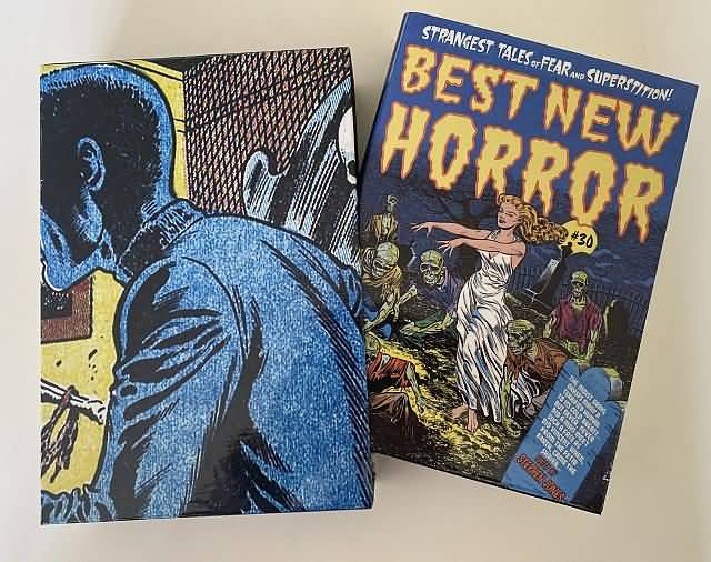 Best New Horror #30